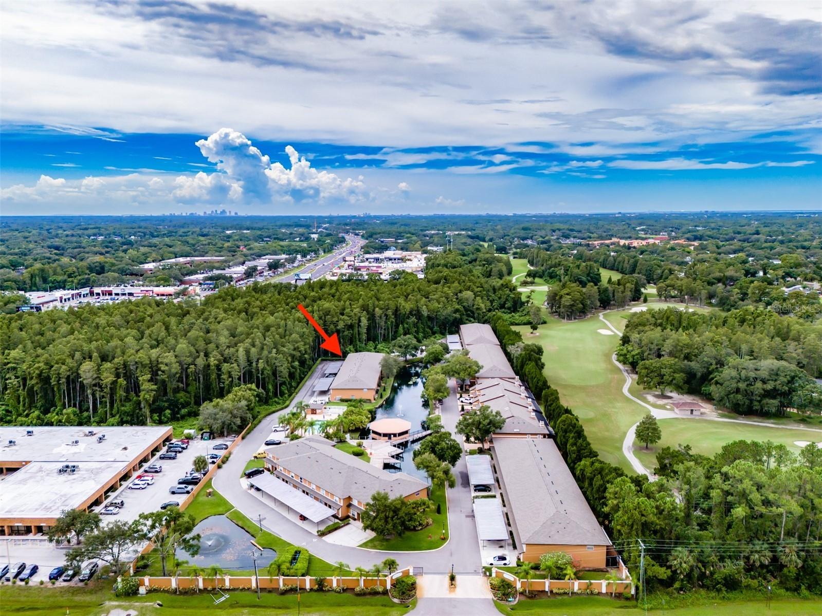 14643 Par Club Circle #14643 Tampa FL 33618 TB8497060 image60
