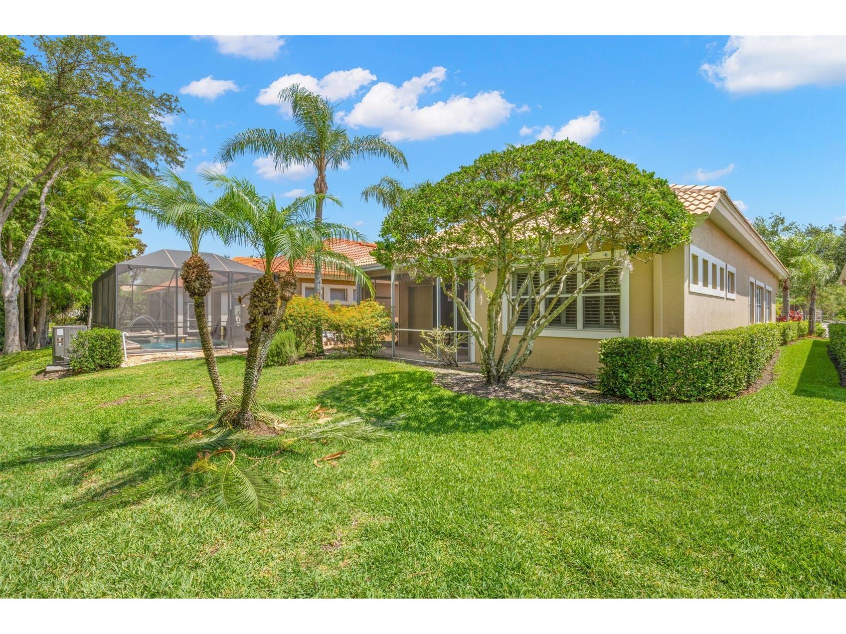 14644 Mirasol Manor Court Tampa FL 33626 TB8510423 image16