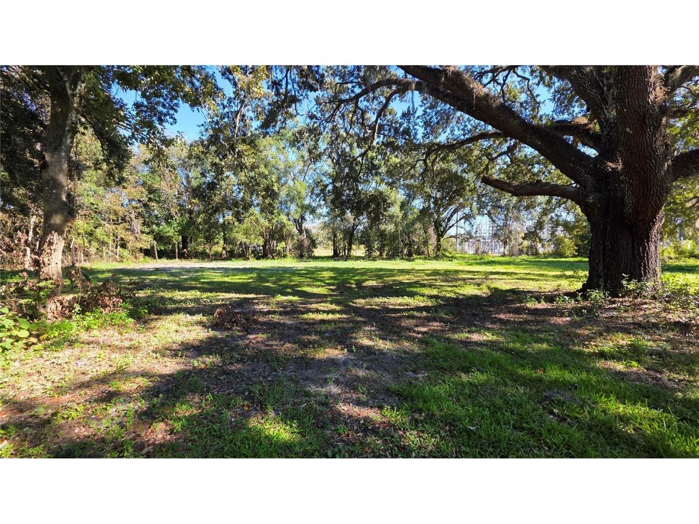 14646 15th Street Dade City FL 33523 TB8448307 image22