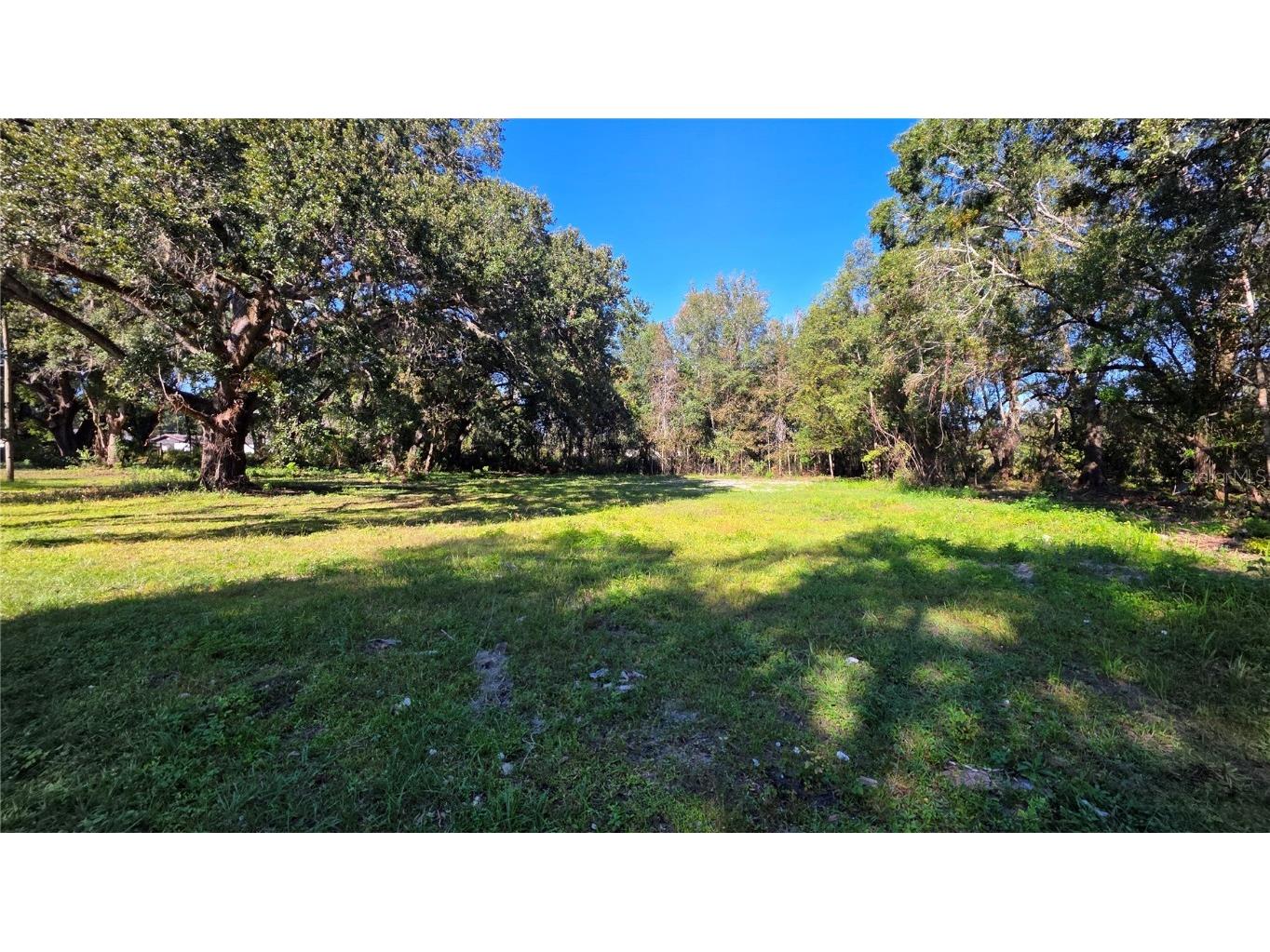 14646 15th Street Dade City FL 33523 TB8448307 image61