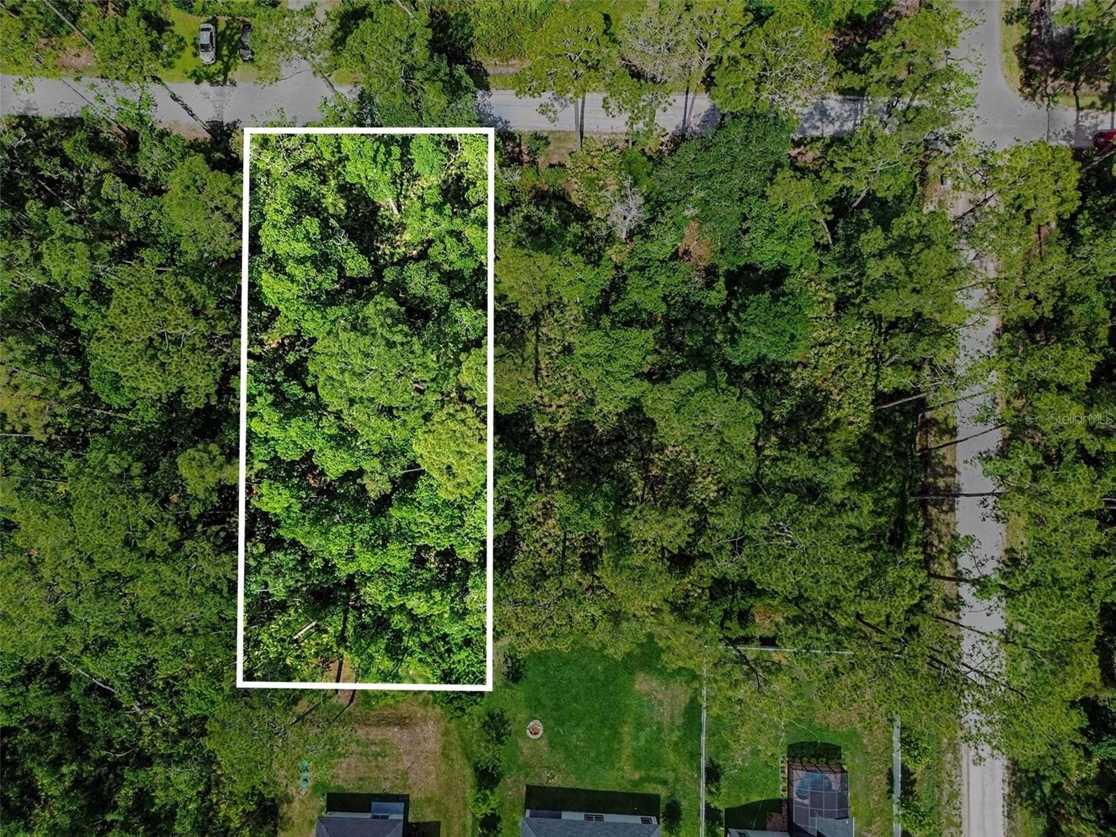 1465 East Parkway Deland FL 32724 TB8514497 image2