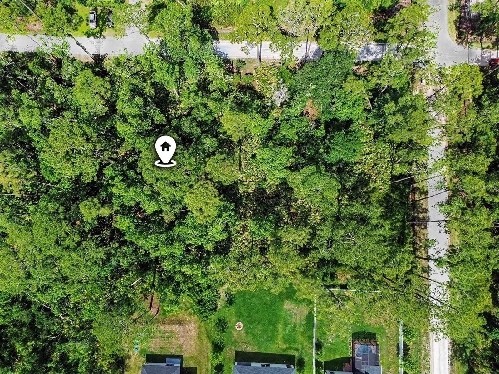 1465 East Parkway Deland FL 32724 TB8514497 image5