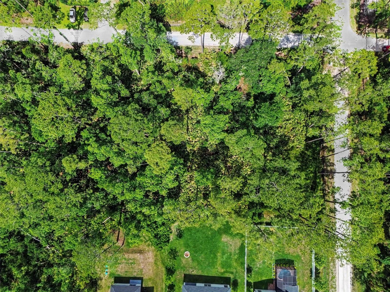 1465 East Parkway Deland FL 32724 TB8514497 image8