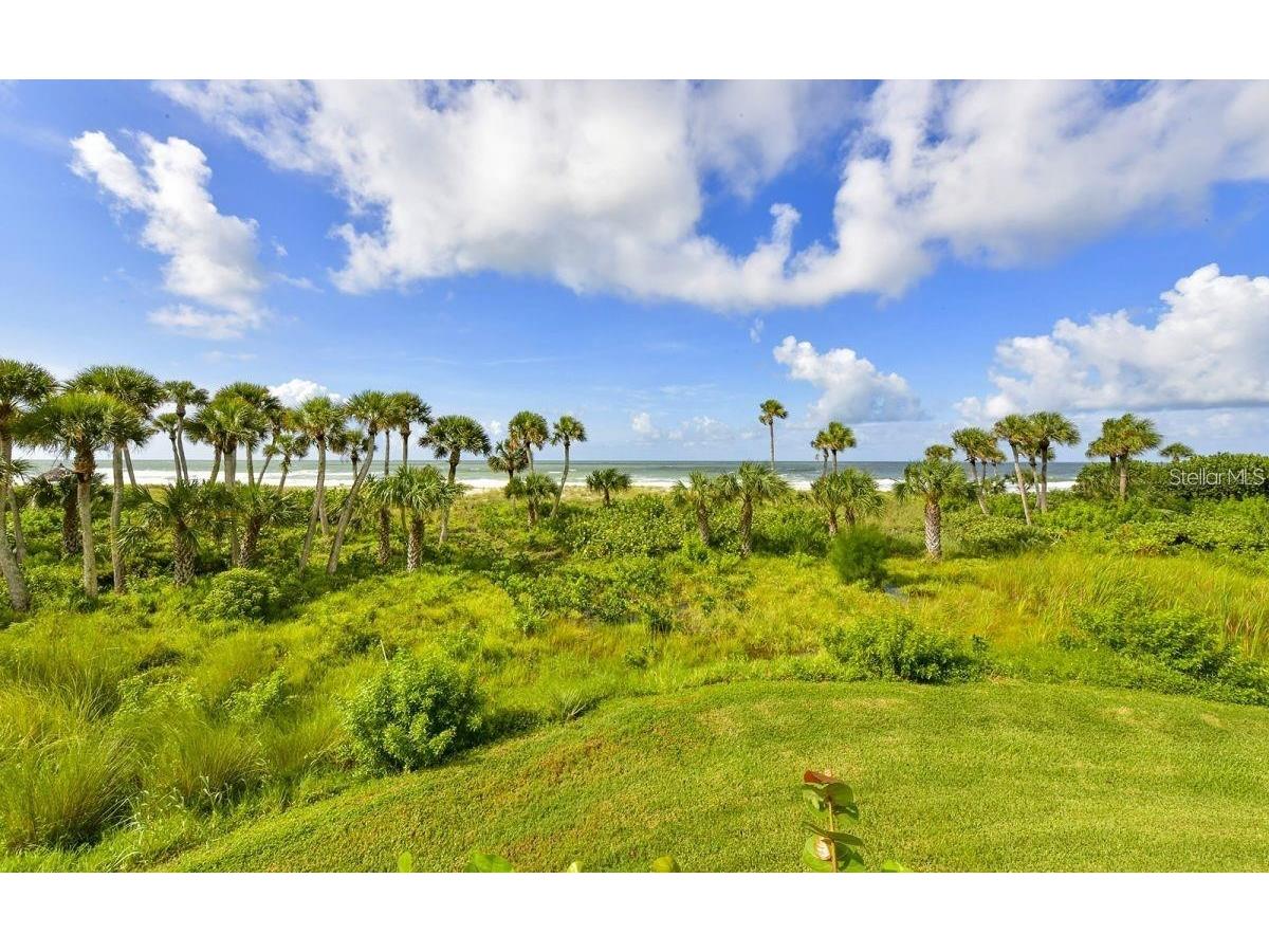 1465 Gulf Of Mexico Drive #504 Longboat Key FL 34228 A4609098 image48
