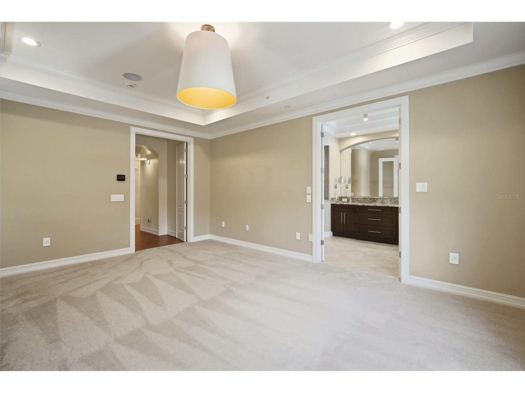 1465 Hillside Landing Drive Tarpon Springs FL 34688 TB8526861 image16