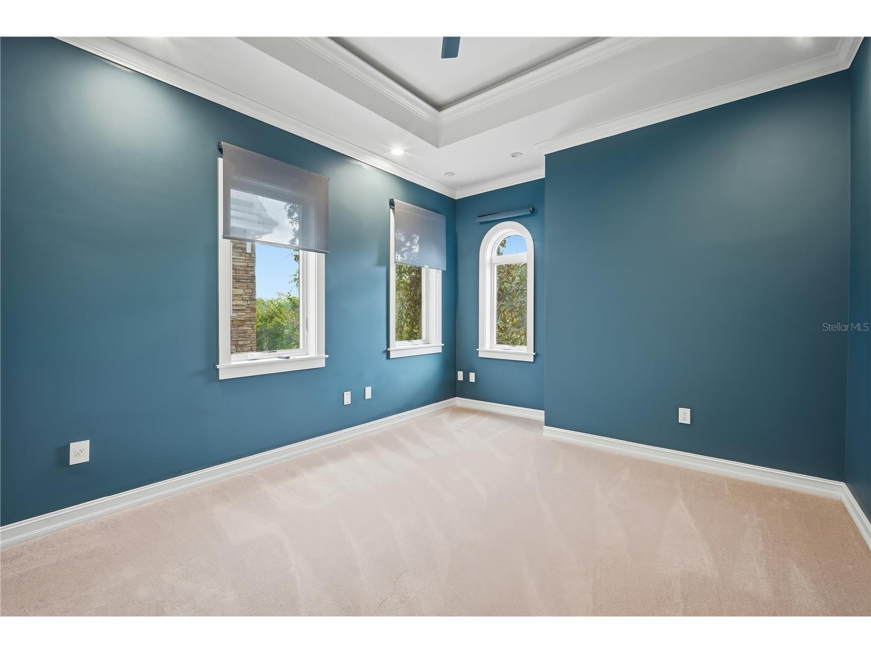 1465 Hillside Landing Drive Tarpon Springs FL 34688 TB8526861 image22