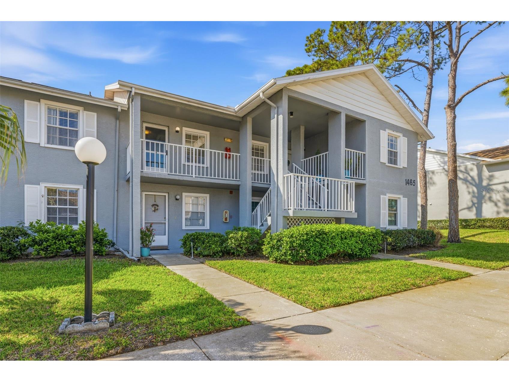 1465 Millstream Lane #205 Dunedin FL 34698 TB8486748 image1