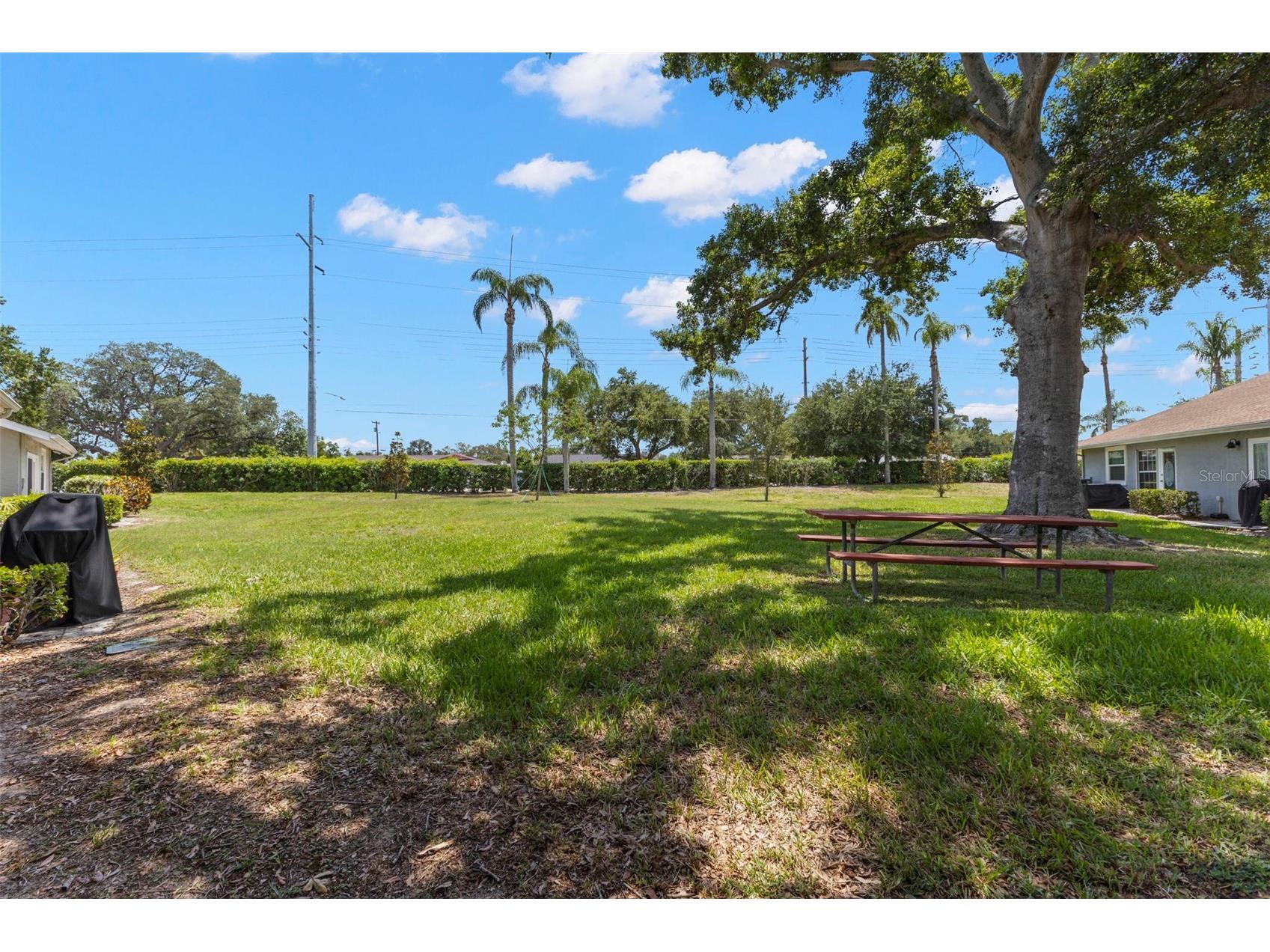 1465 Oak Hill Drive #104 Dunedin FL 34698 TB8509765 image19