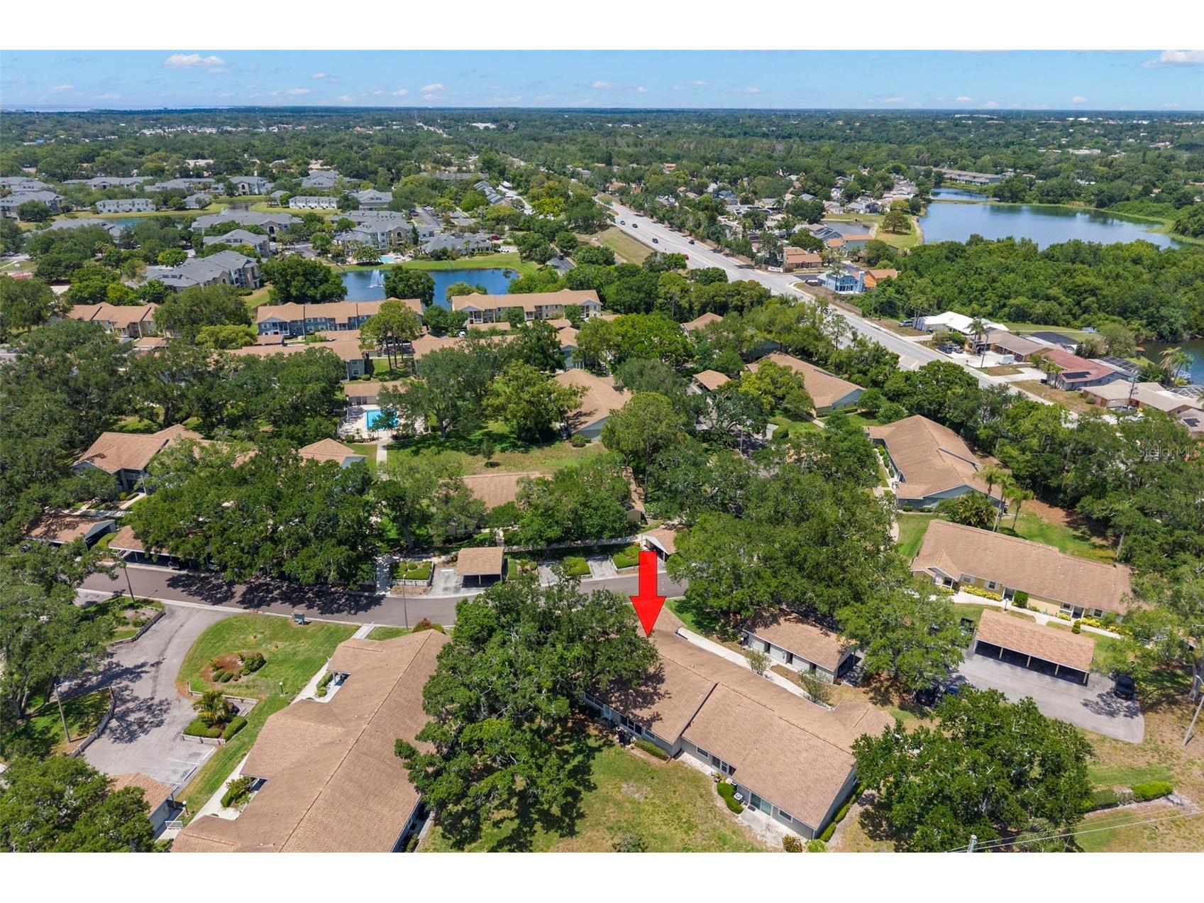 1465 Oak Hill Drive #104 Dunedin FL 34698 TB8509765 image32