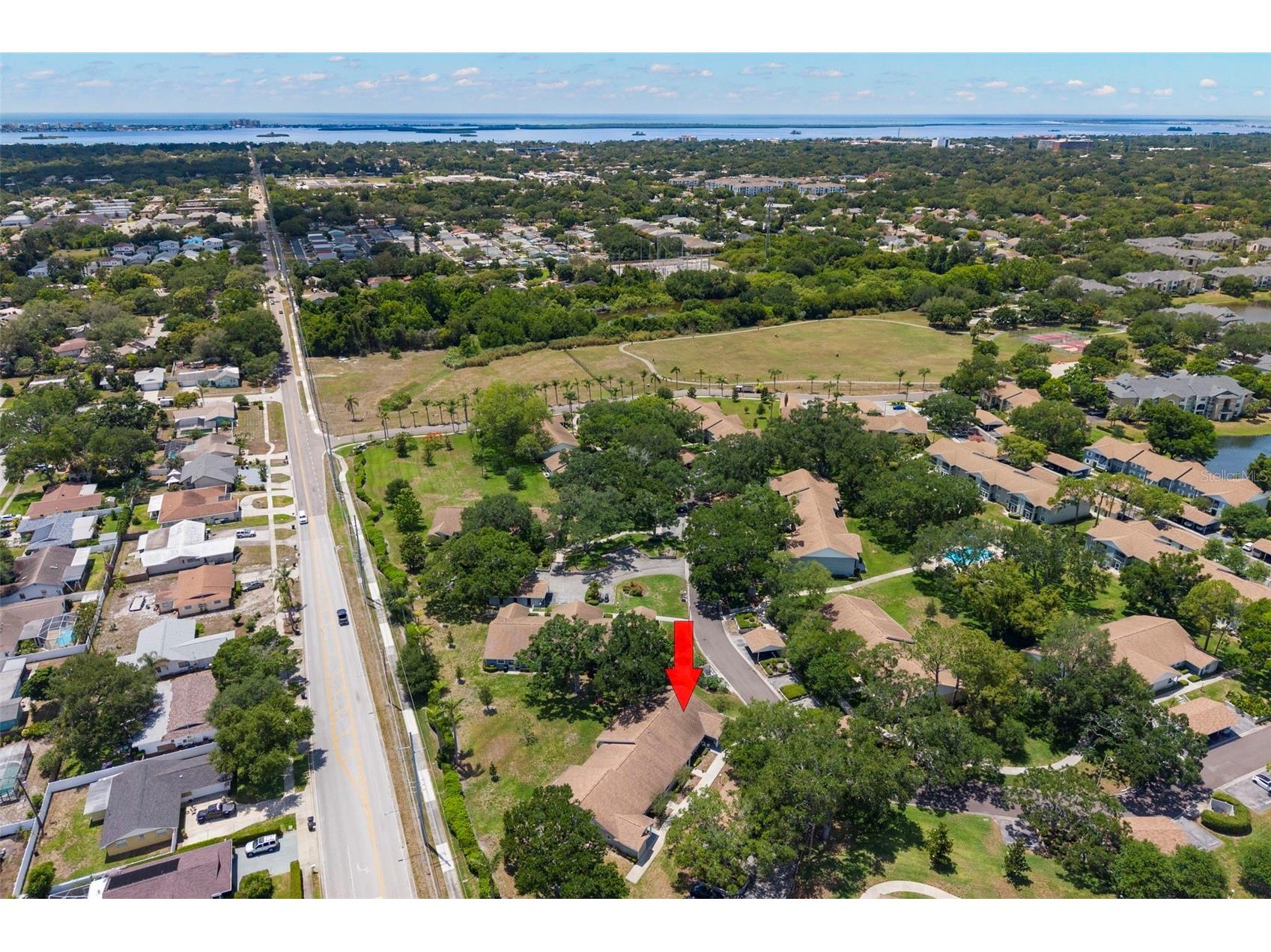 1465 Oak Hill Drive #104 Dunedin FL 34698 TB8509765 image33