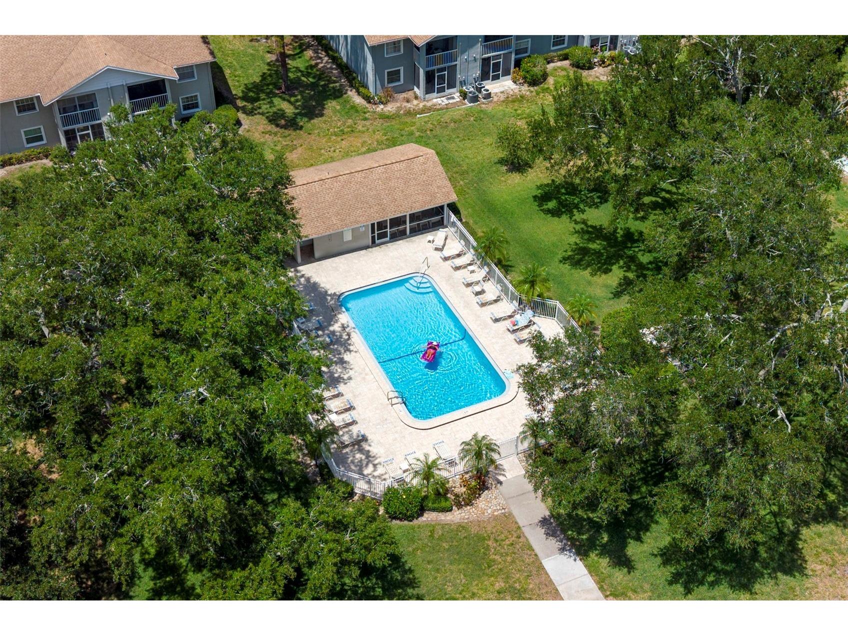 1465 Oak Hill Drive #104 Dunedin FL 34698 TB8509765 image37