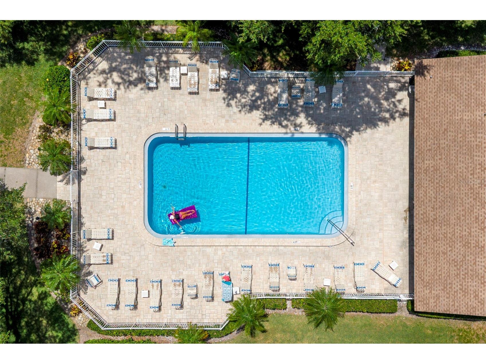 1465 Oak Hill Drive #104 Dunedin FL 34698 TB8509765 image38