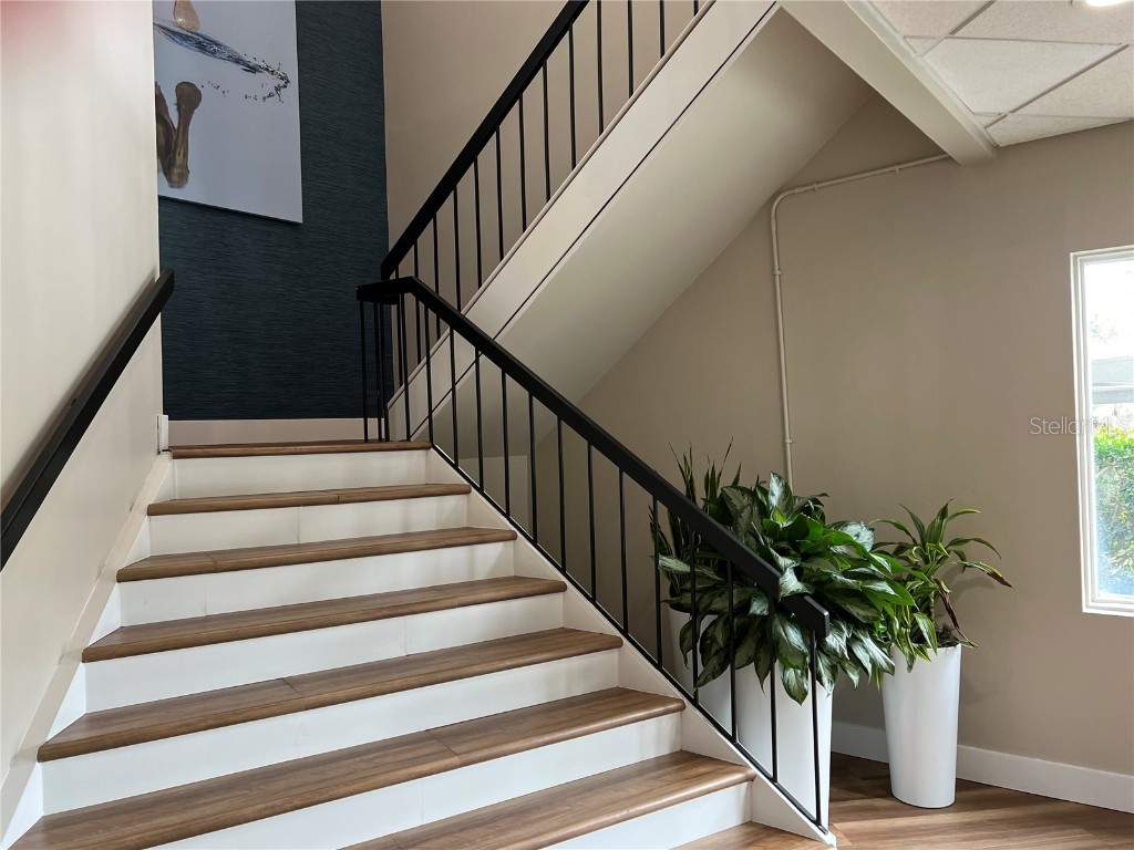 1465 S Fort Harrison Avenue Clearwater FL 33756 U8091608 image7