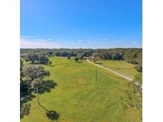 1465 Warrior Trail Enterprise FL 32725 - LAKE MONROE ST JOHNS RIVER V4941186 image17