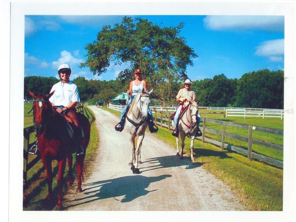 1465 Warrior Trail Enterprise FL 32725 - LAKE MONROE ST JOHNS RIVER V4941186 image34