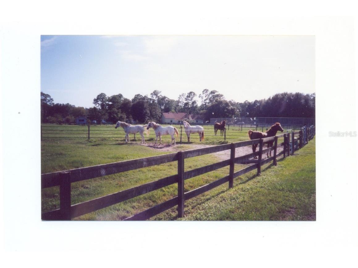 1465 Warrior Trail Enterprise FL 32725 - LAKE MONROE ST JOHNS RIVER V4941186 image35