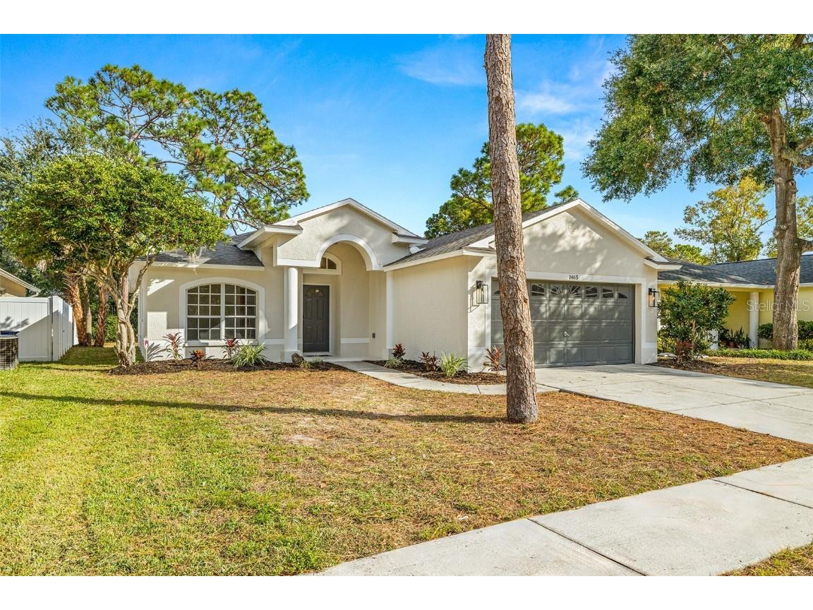 1465 Watermill Circle Tarpon Springs FL 34689 U8222074 image1