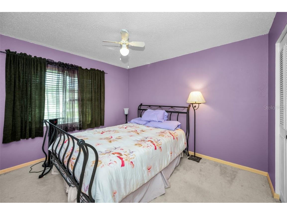 1465 Windmoor Drive Dunedin FL 34698 TB8434358 image14