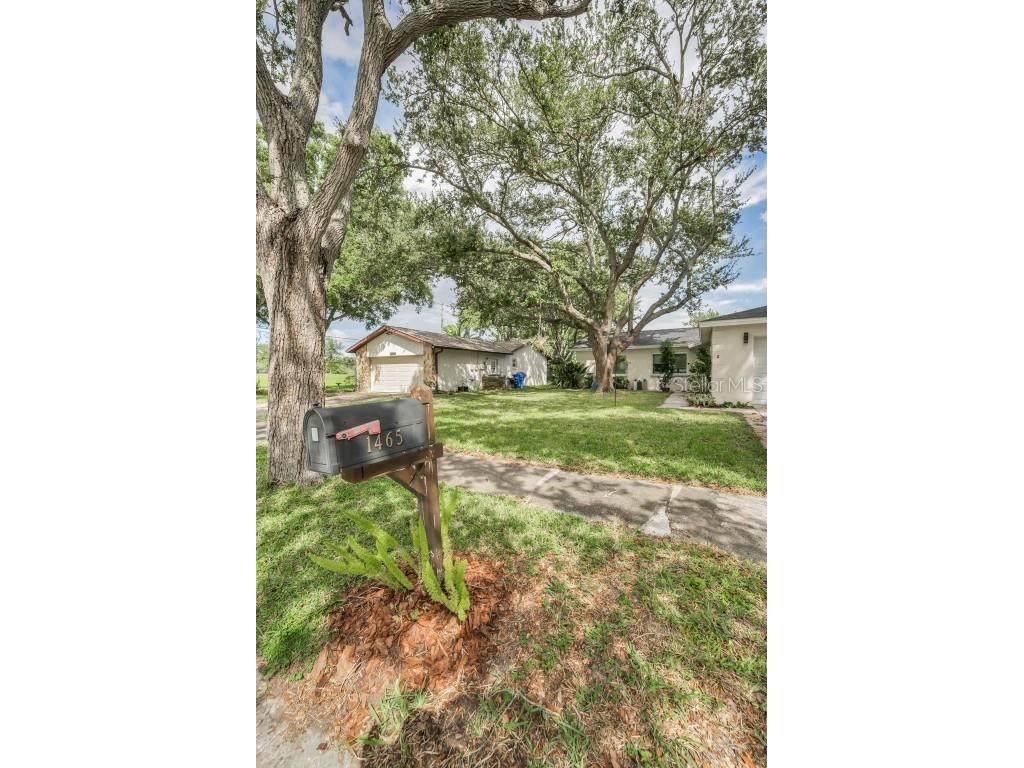 1465 Windmoor Drive Dunedin FL 34698 TB8434358 image23