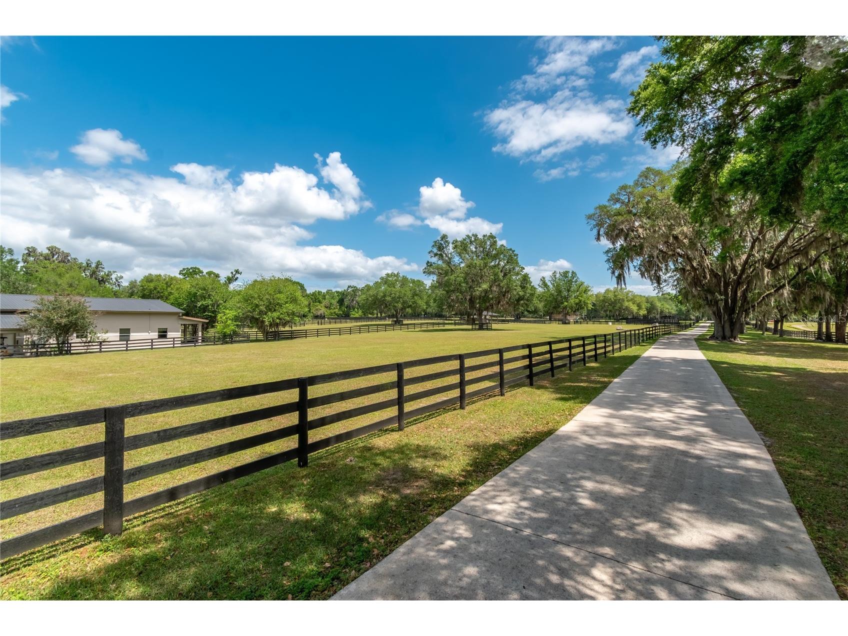 14650 NW 160th Avenue Williston FL 32696 OM721919 image24