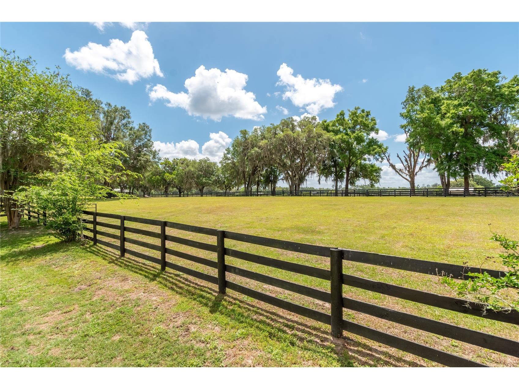 14650 NW 160th Avenue Williston FL 32696 OM721919 image63
