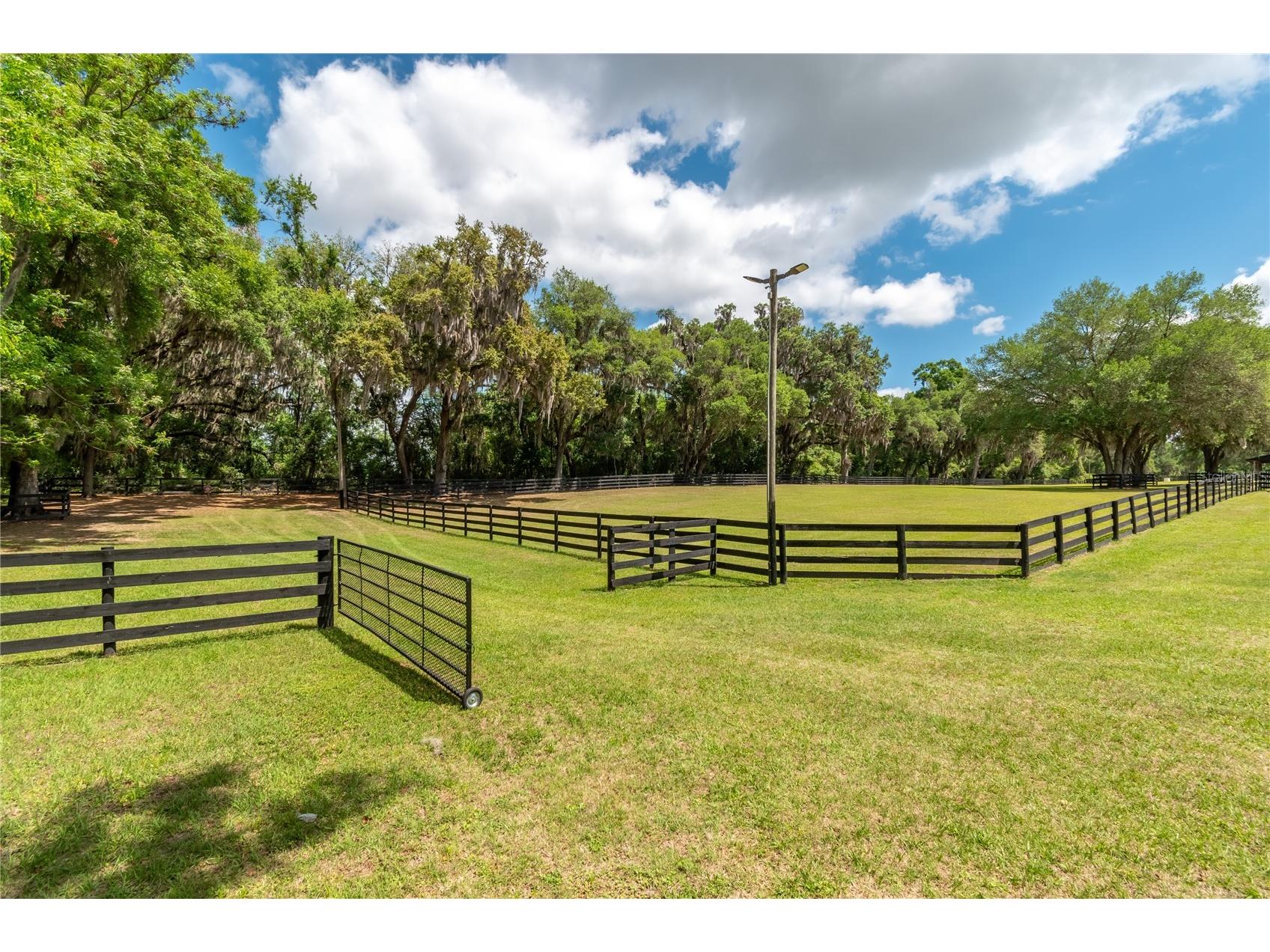 14650 NW 160th Avenue Williston FL 32696 OM721919 image65