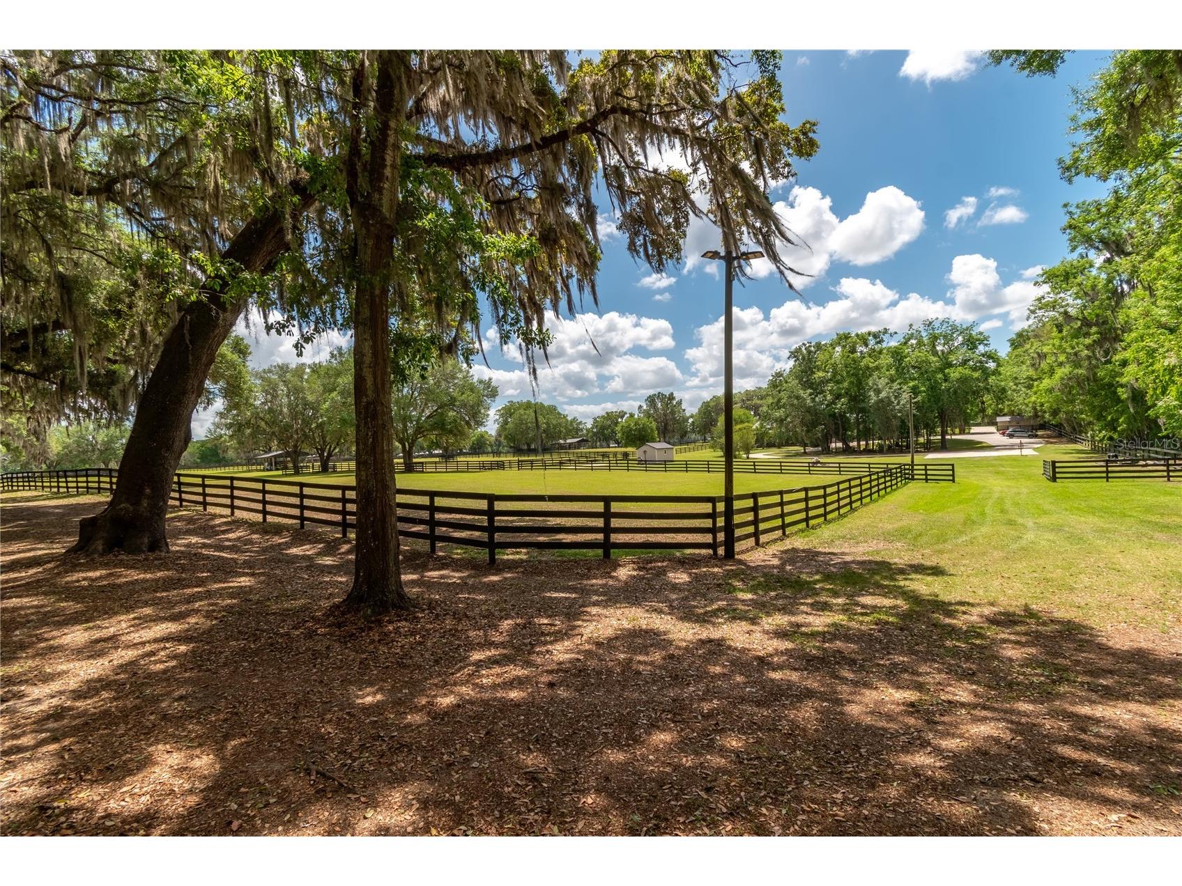 14650 NW 160th Avenue Williston FL 32696 OM721919 image66