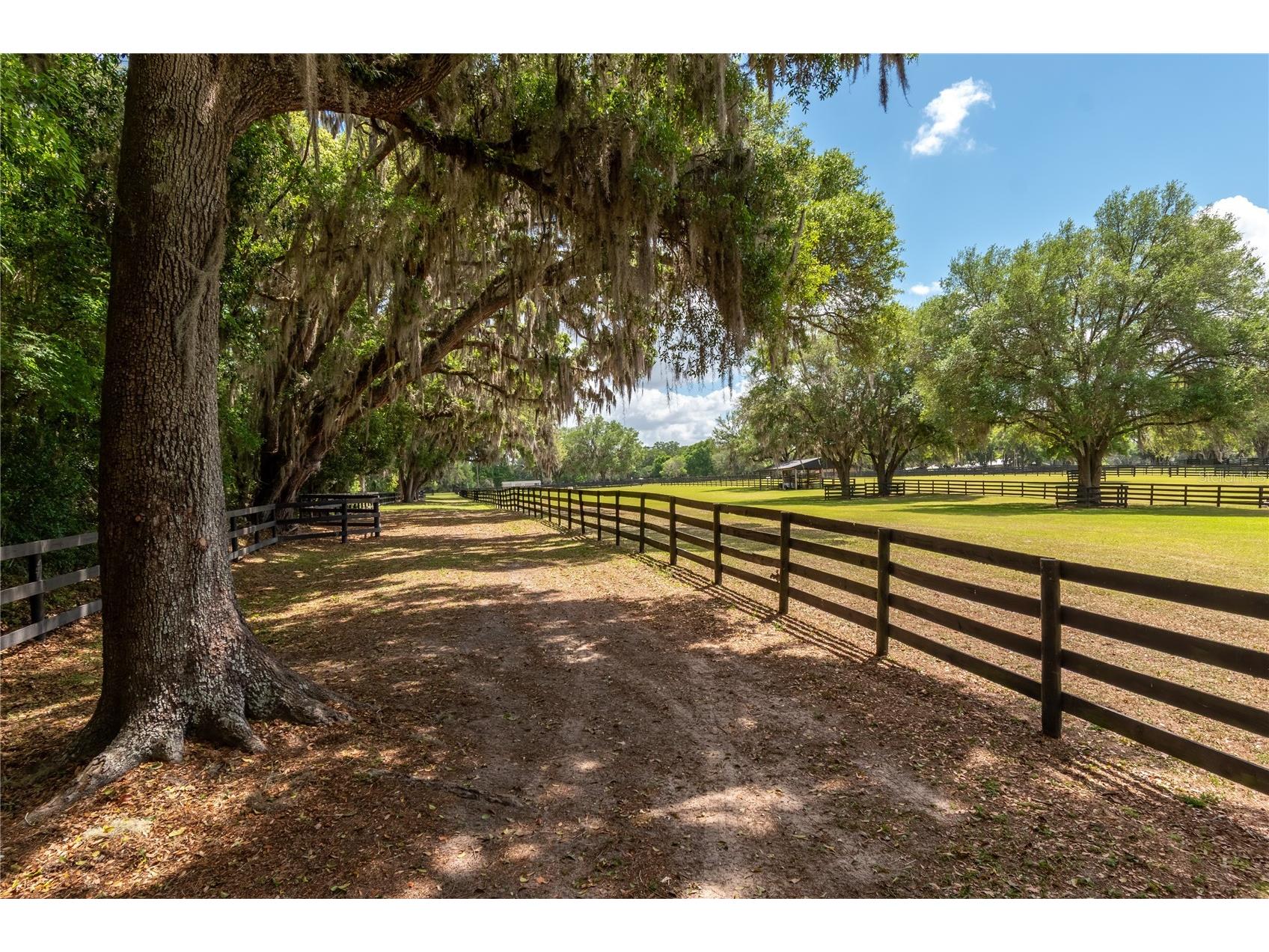 14650 NW 160th Avenue Williston FL 32696 OM721919 image67