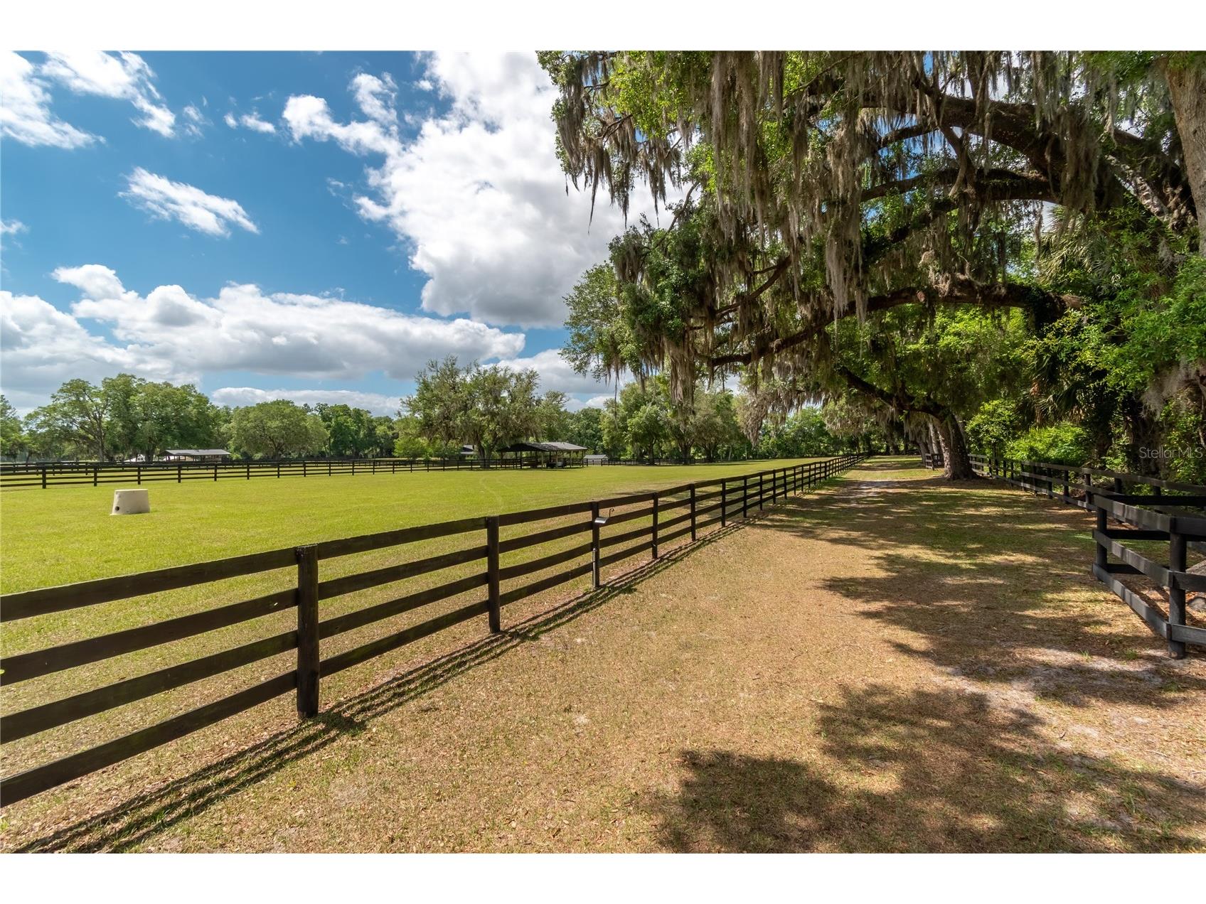 14650 NW 160th Avenue Williston FL 32696 OM721919 image70