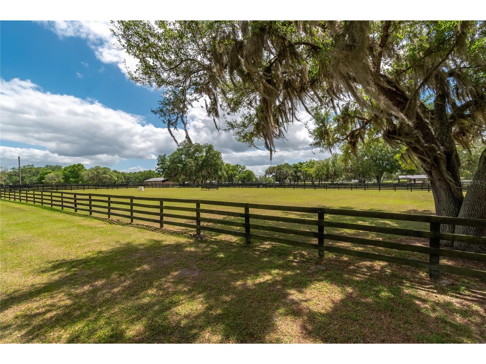 14650 NW 160th Avenue Williston FL 32696 OM721919 image72
