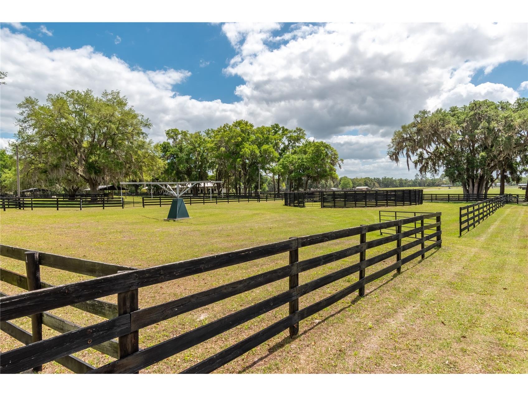 14650 NW 160th Avenue Williston FL 32696 OM721919 image74