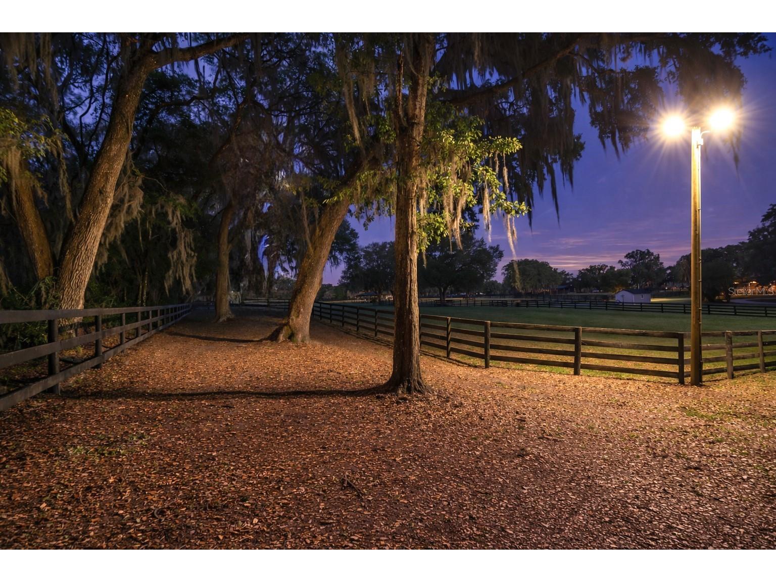 14650 NW 160th Avenue Williston FL 32696 OM721919 image8