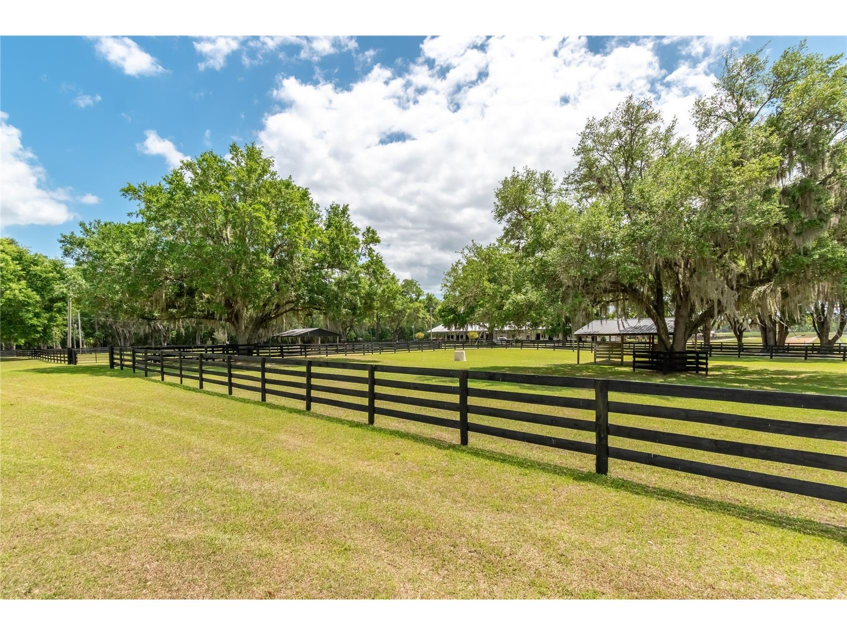 14650 NW 160th Avenue Williston FL 32696 OM721919 image81