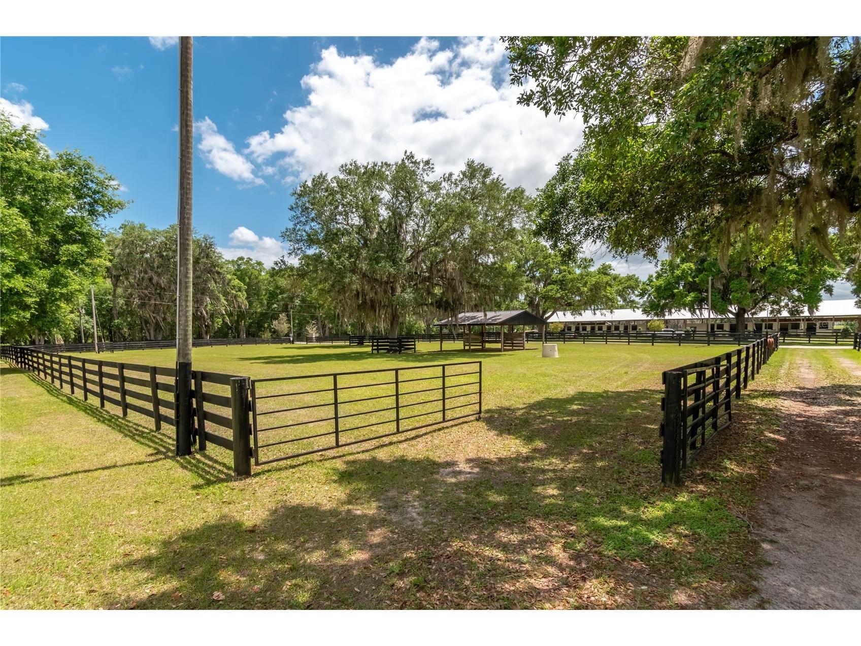 14650 NW 160th Avenue Williston FL 32696 OM721919 image82