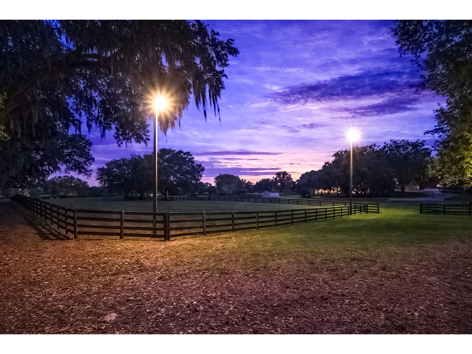14650 NW 160th Avenue Williston FL 32696 OM721919 image9