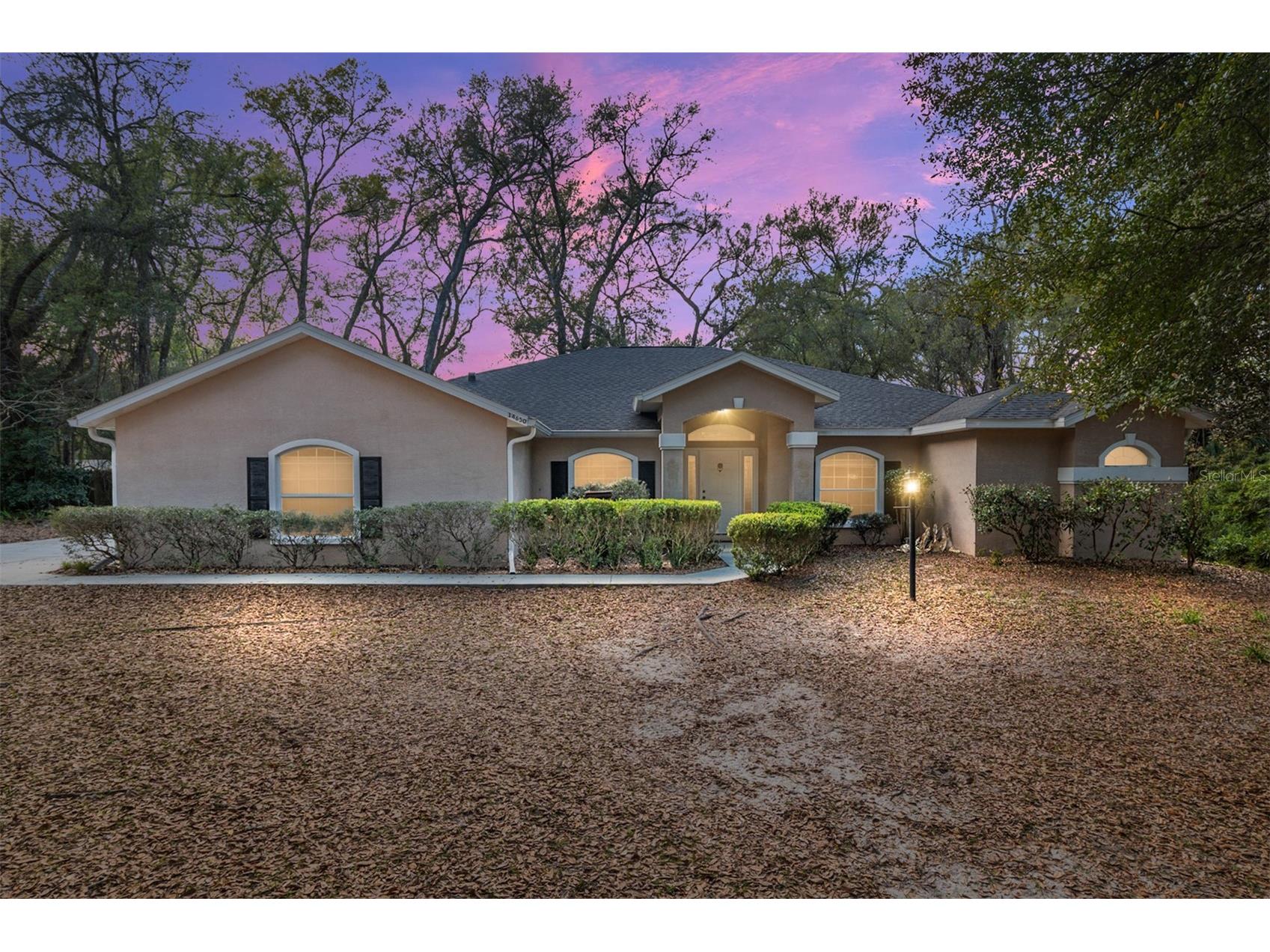 14650 SE 1st Avenue Road Summerfield FL 34491 OM720290 image1