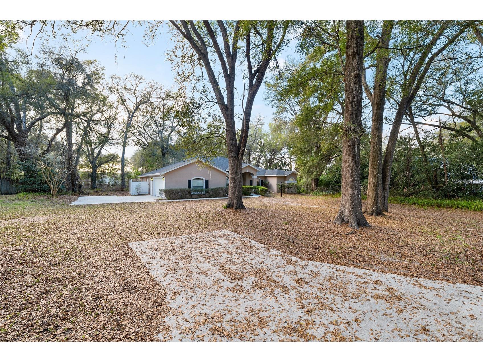 14650 SE 1st Avenue Road Summerfield FL 34491 OM720290 image2