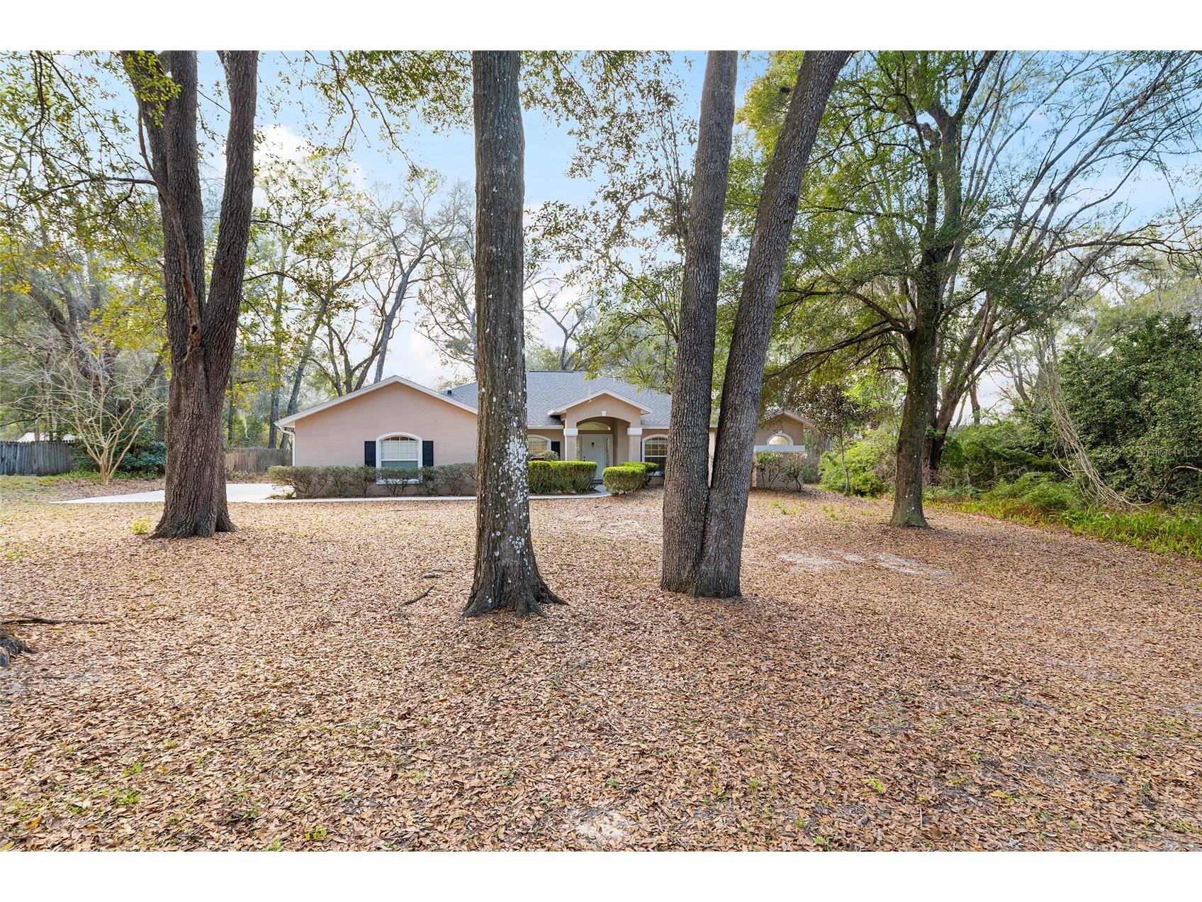 14650 SE 1st Avenue Road Summerfield FL 34491 OM720290 image4