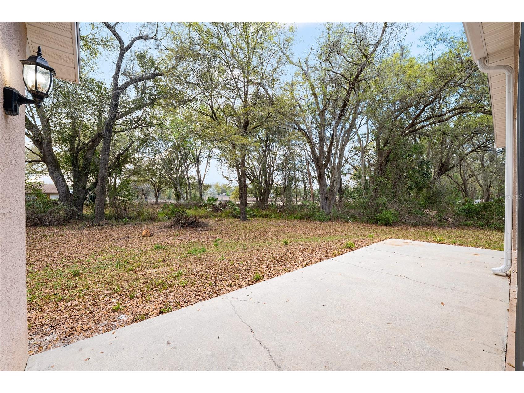 14650 SE 1st Avenue Road Summerfield FL 34491 OM720290 image69