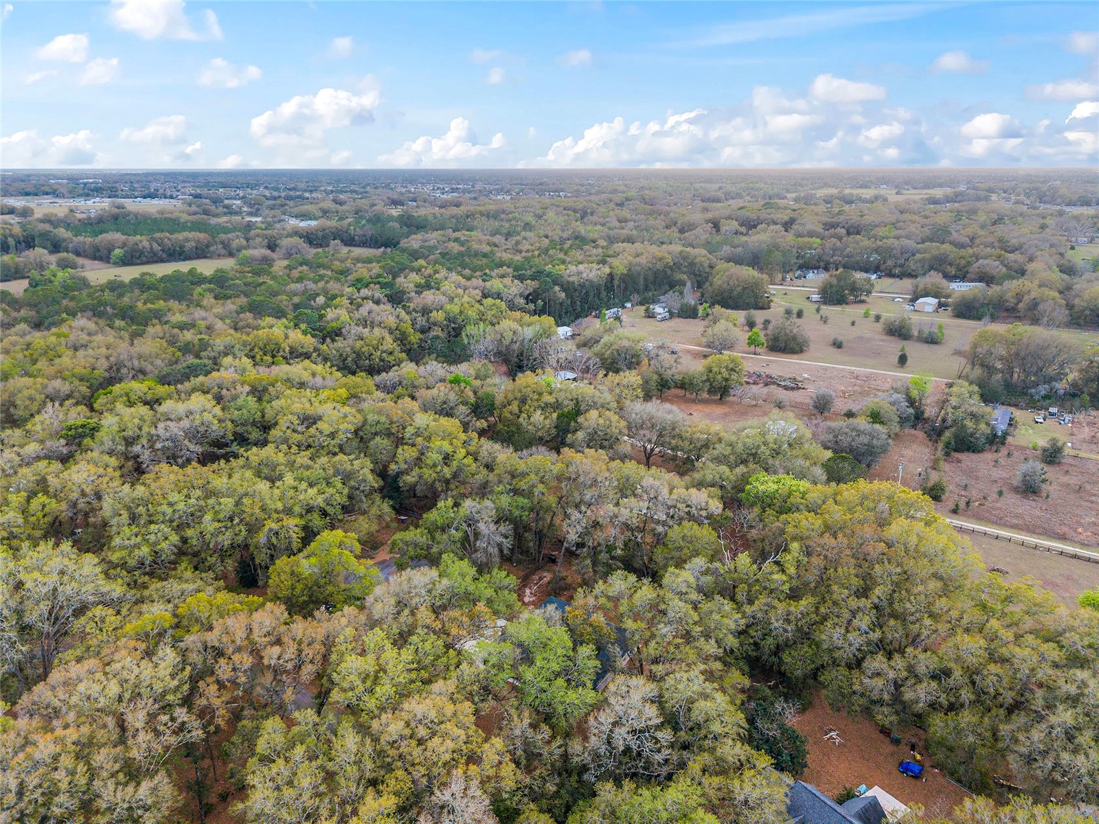 14650 SE 1st Avenue Road Summerfield FL 34491 OM720290 image78