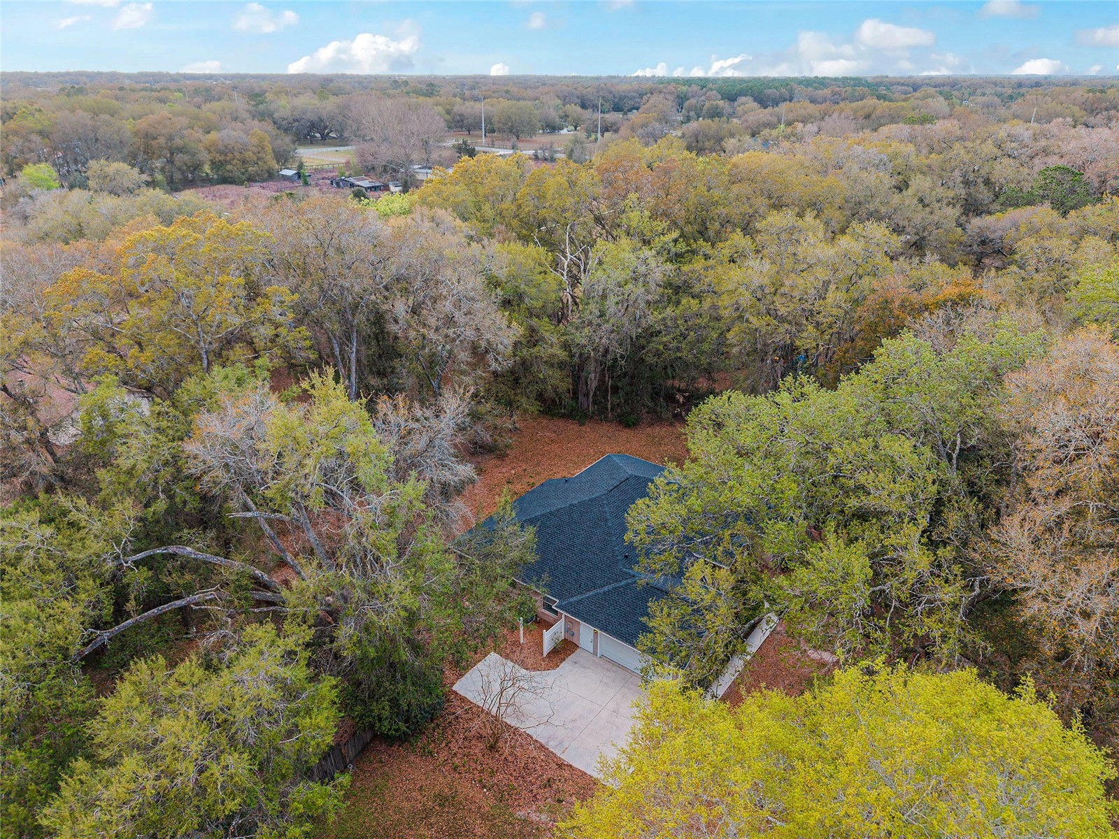 14650 SE 1st Avenue Road Summerfield FL 34491 OM720290 image79