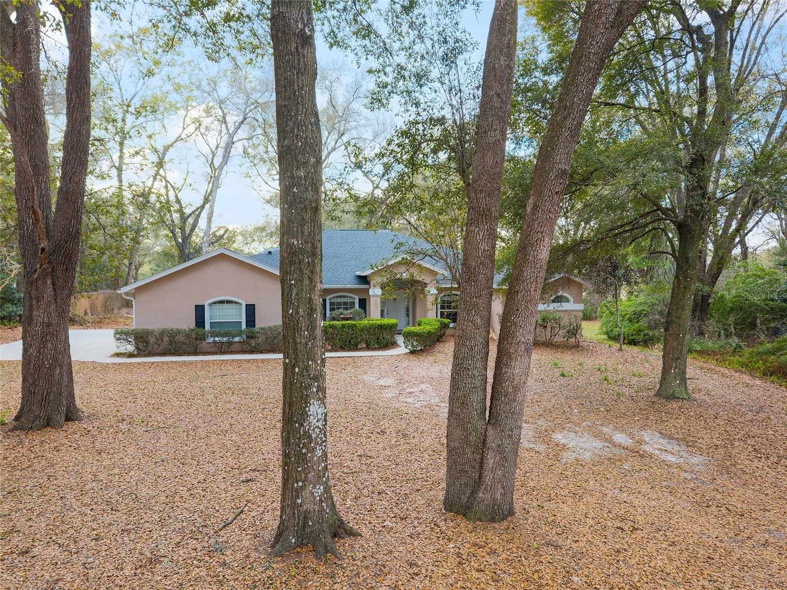 14650 SE 1st Avenue Road Summerfield FL 34491 OM720290 image83