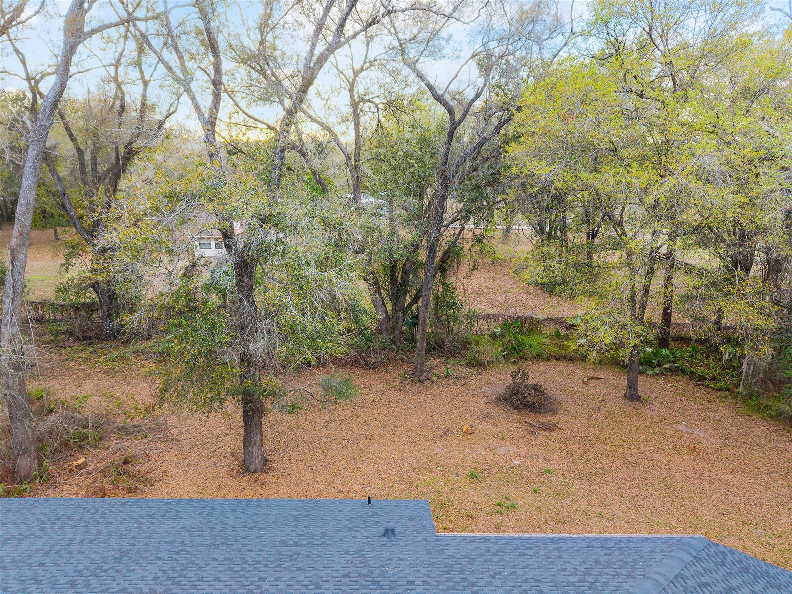 14650 SE 1st Avenue Road Summerfield FL 34491 OM720290 image84