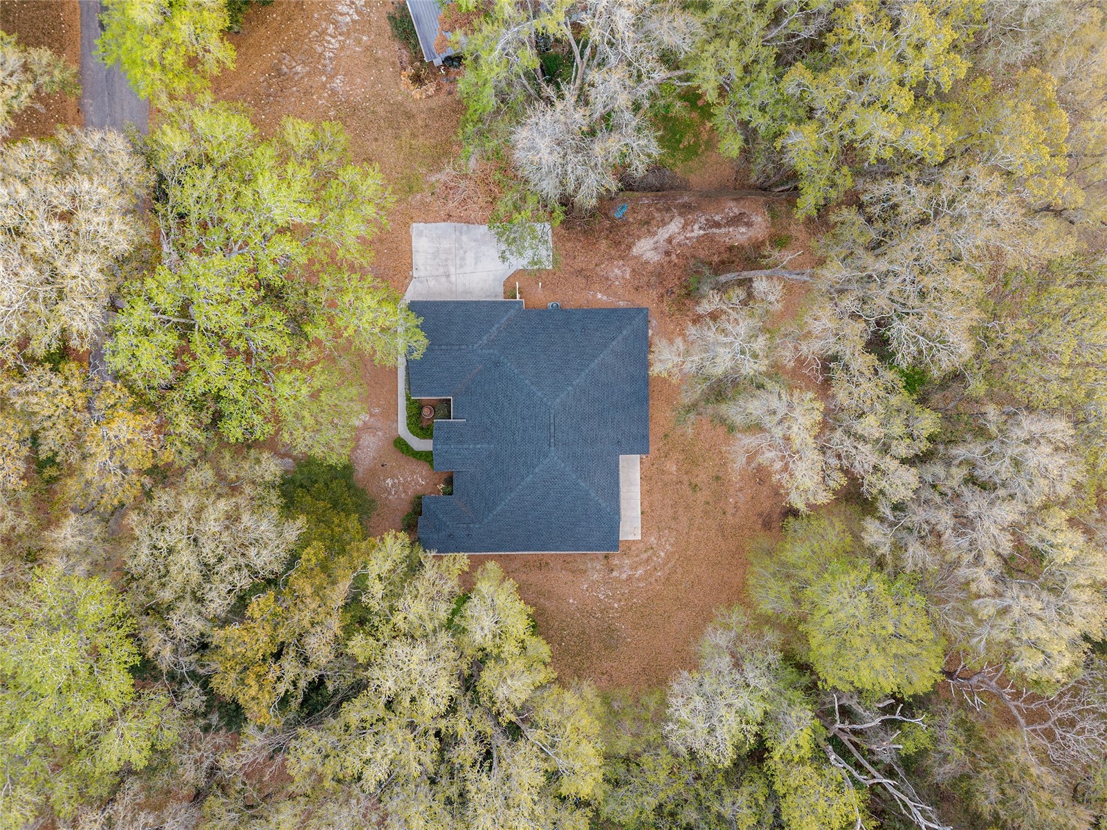 14650 SE 1st Avenue Road Summerfield FL 34491 OM720290 image88