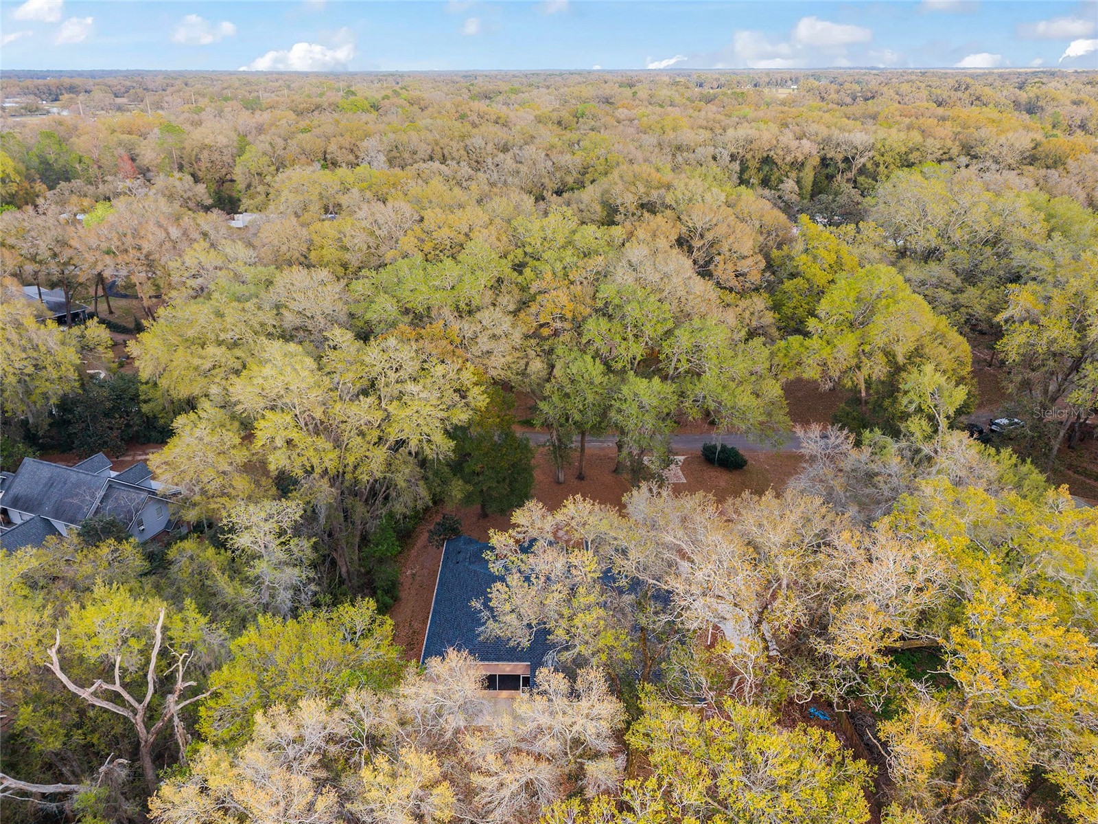 14650 SE 1st Avenue Road Summerfield FL 34491 OM720290 image90