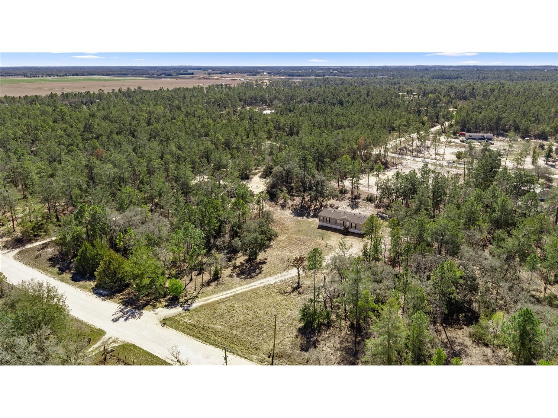 14650 SE 6th Lane Williston FL 32696 OM719875 image10