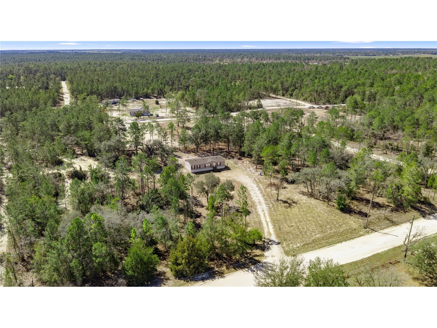 14650 SE 6th Lane Williston FL 32696 OM719875 image8