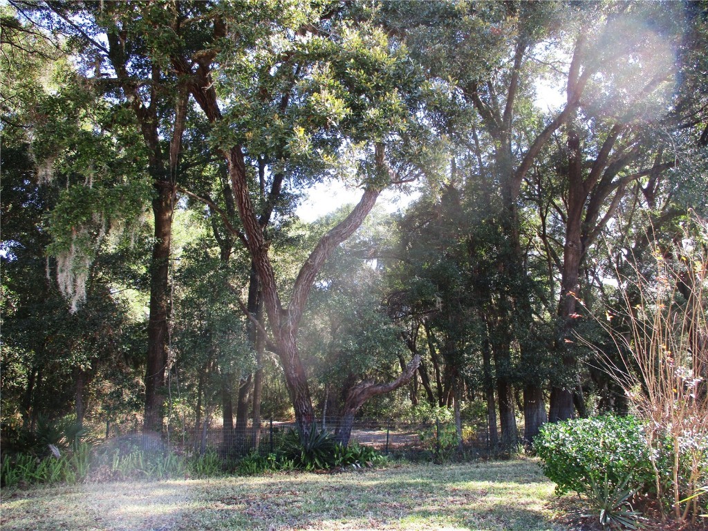 14652 SW 112th Circle Dunnellon FL 34432 OM714785 image2