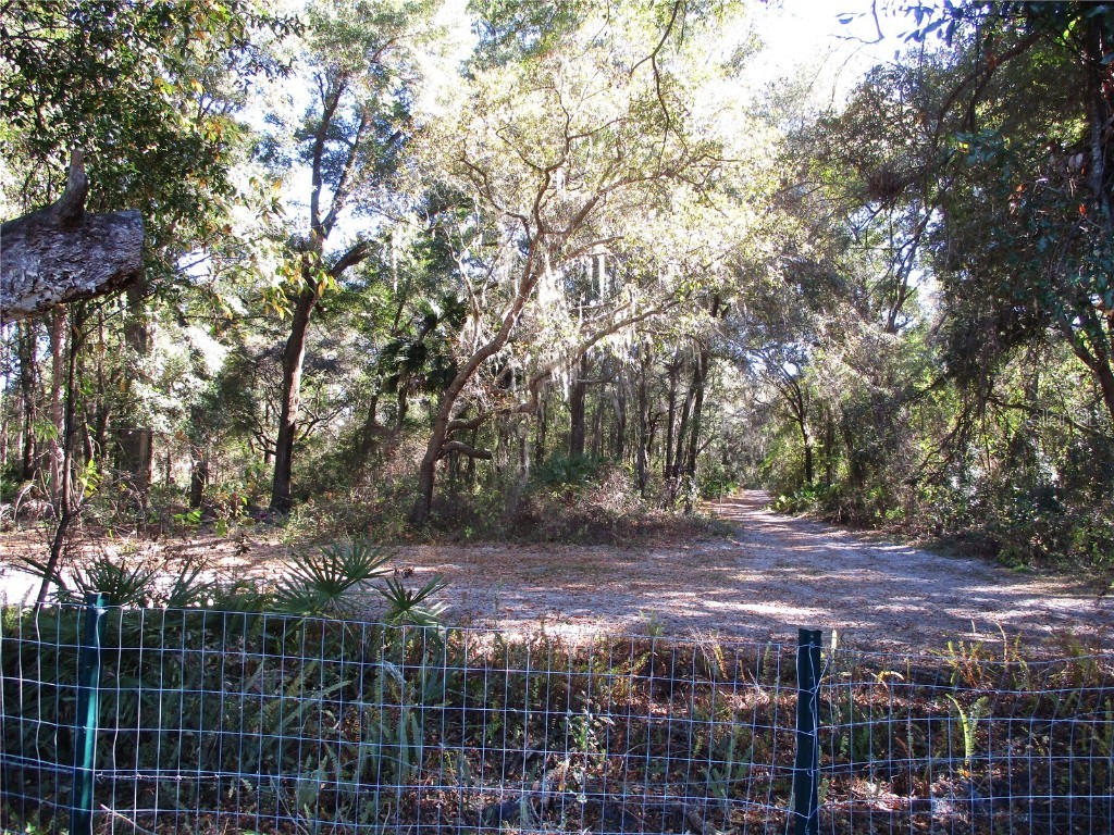 14652 SW 112th Circle Dunnellon FL 34432 OM714785 image53