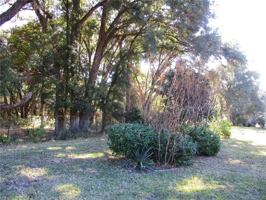 14652 SW 112th Circle Dunnellon FL 34432 OM714785 image54